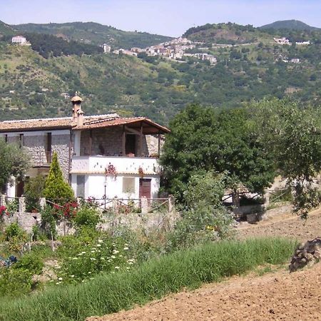 Вілла Agriturismo Acampora Cerchiara di Calabria Екстер'єр фото
