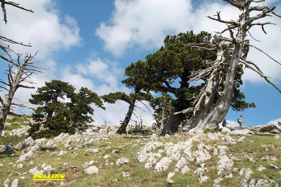 Вілла Agriturismo Acampora Cerchiara di Calabria Екстер'єр фото
